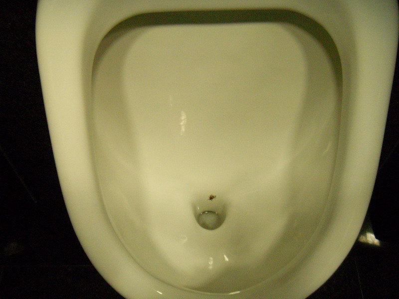 070407_35m_kennedymars_fly_sticker_in_urinal