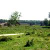 070429_01_brunssummerheide