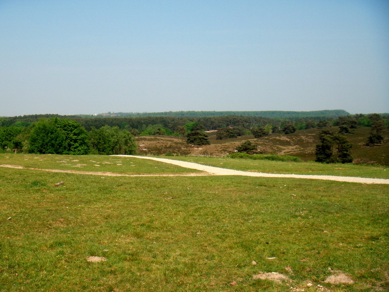070429_02_brunssummerheide