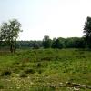 070429_03_brunssummerheide