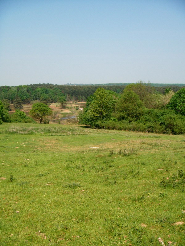 070429_05_brunssummerheide