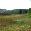 070429_12_brunssummerheide