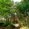 070429_13_brunssummerheide