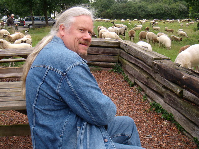 070626_12_brunssummerheide_sheep