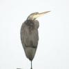heron140807_02