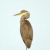 heron140807_03