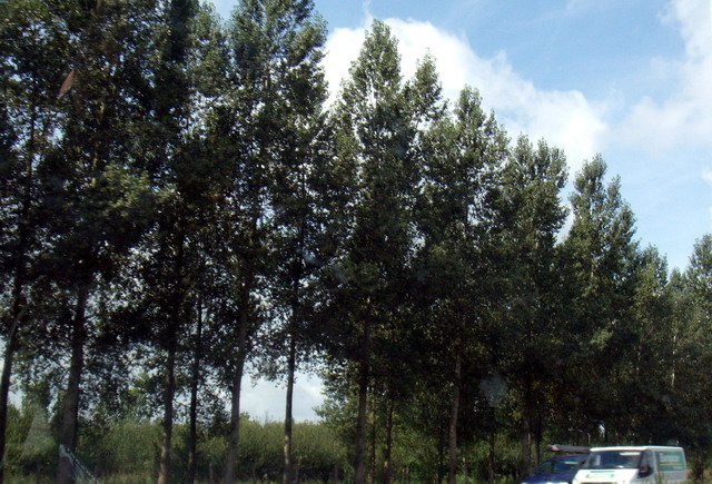 alkmaartrip150907_01_hollandscenery