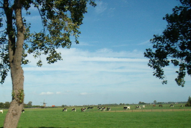 alkmaartrip150907_13_hollandscenery