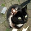 alkmaartrip160907_06