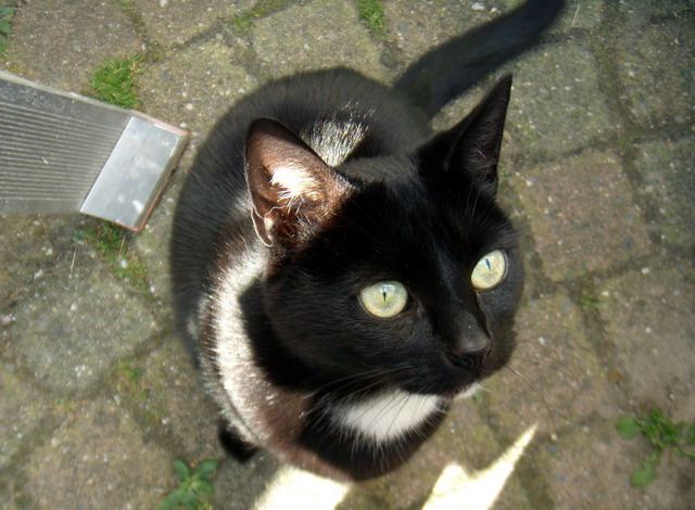 alkmaartrip160907_06
