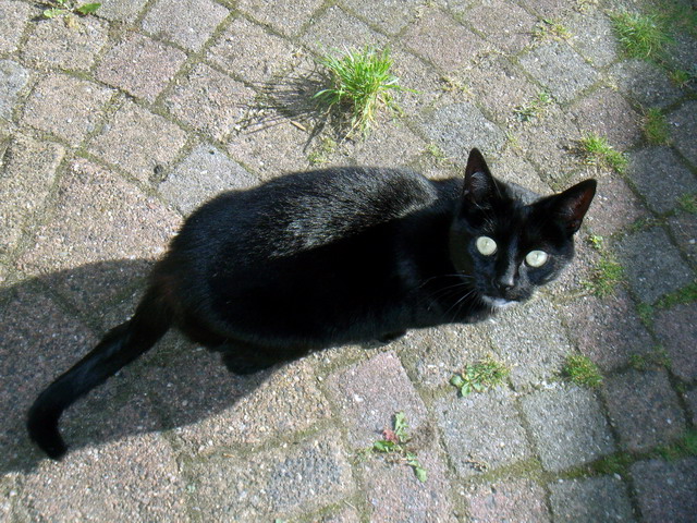 alkmaartrip160907_08
