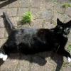 alkmaartrip160907_10