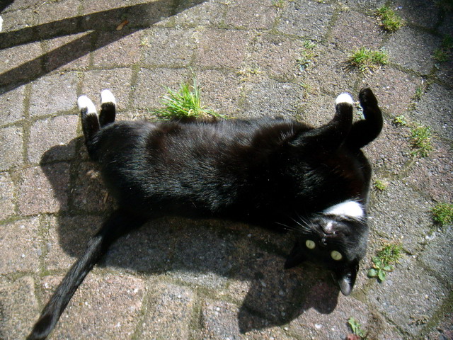 alkmaartrip160907_11