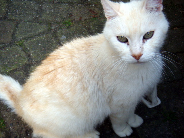 alkmaartrip160907_18