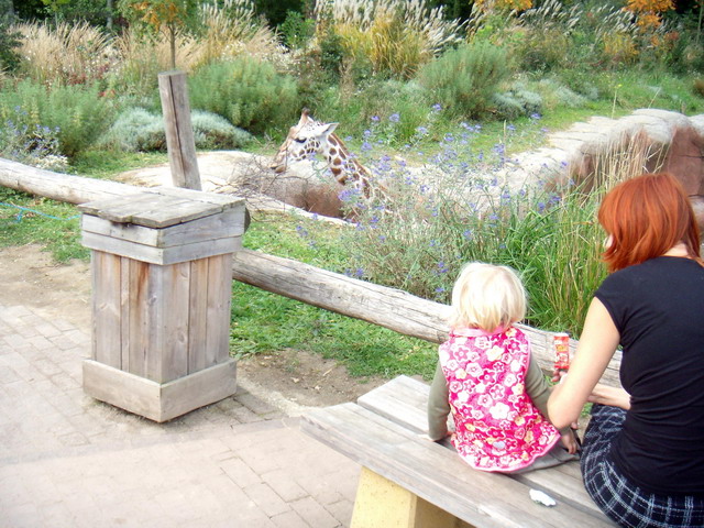 gaiapark210907_05m_giraffe