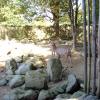 gaiapark210907_22m_greaterkudus