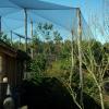 gaiapark210907_47m_aviary