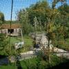 gaiapark210907_48m_aviary