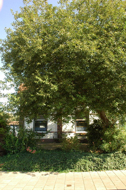 house_september07_05