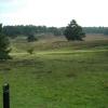 heide_cj_300907_01