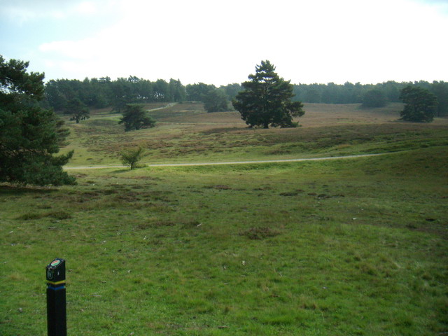 heide_cj_300907_01