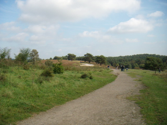 heide_cj_300907_02