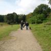 heide_cj_300907_03