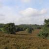 heide_cj_300907_06j