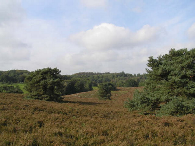 heide_cj_300907_06j