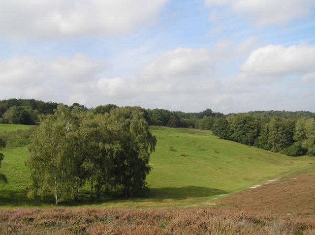 heide_cj_300907_10j