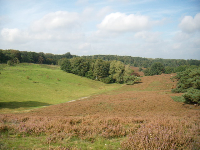 heide_cj_300907_11