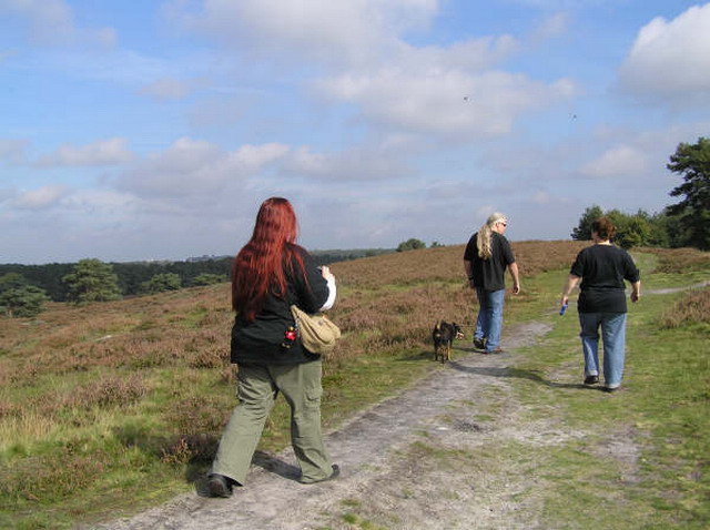 heide_cj_300907_12j