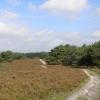 heide_cj_300907_13j
