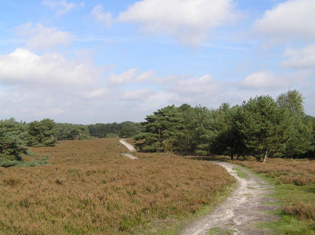 heide_cj_300907_13j