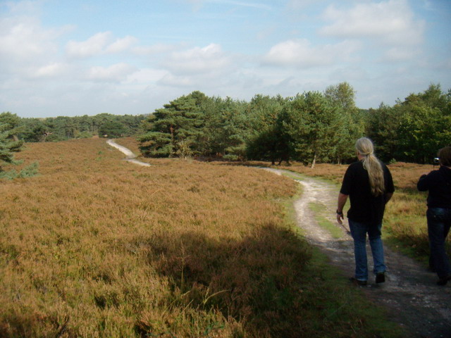 heide_cj_300907_14