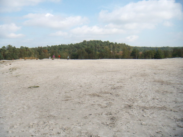 heide_cj_300907_18