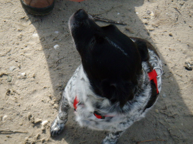 heide_cj_300907_24