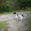heide_cj_300907_29