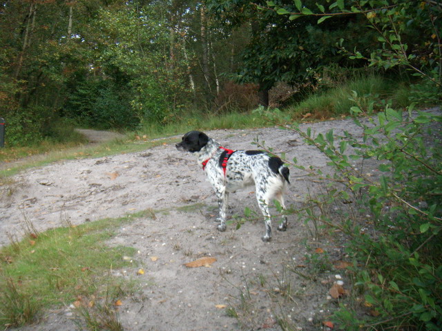 heide_cj_300907_29