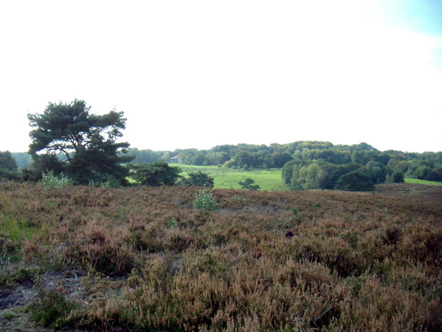 heide_cj_300907_36