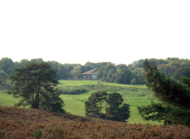 heide_cj_300907_37