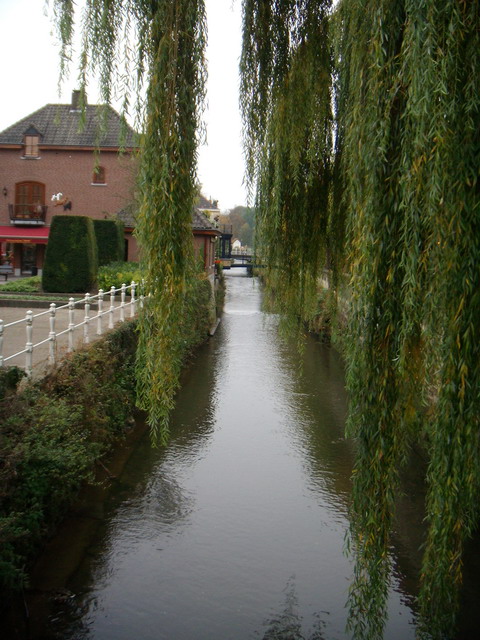 thorstenkatrin271007_44