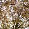 thorstenkatrin271007_57