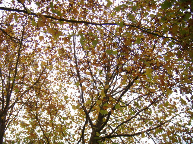 thorstenkatrin271007_57