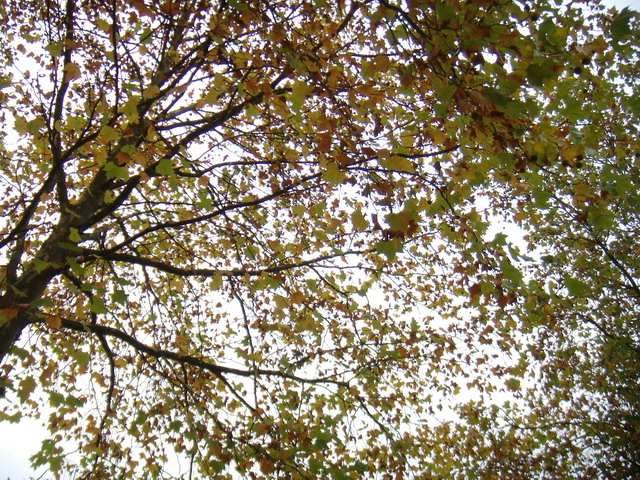 thorstenkatrin271007_58