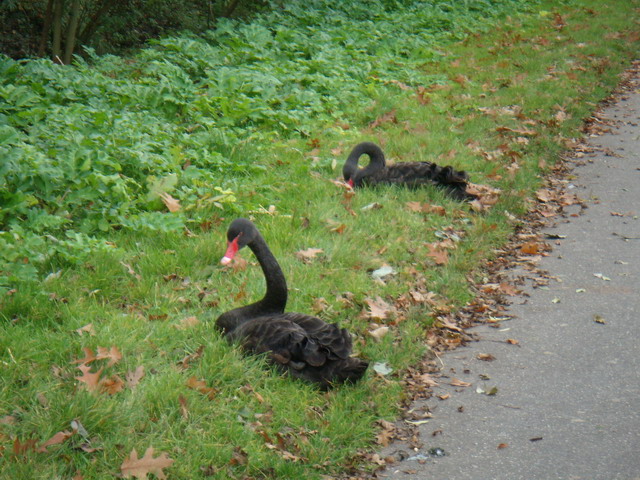 thorstenkatrin281007_10
