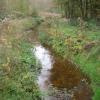 thorstenkatrin281007_11
