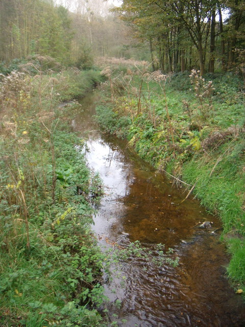 thorstenkatrin281007_11