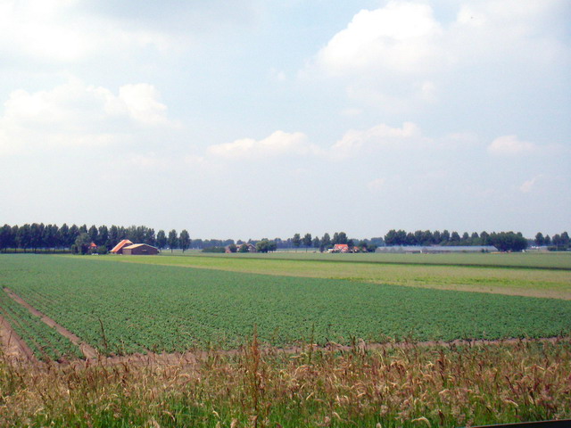 can010607_15_drive_to_nieuw-vennep