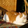can010607_26_ton_rita
